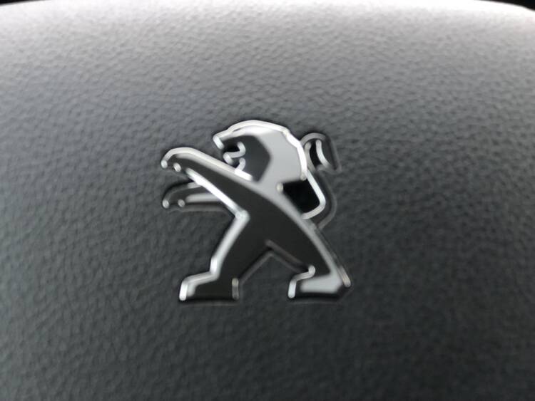 Peugeot Expert 2.0 HDI  L1